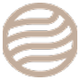 Process SEO Expert Icon